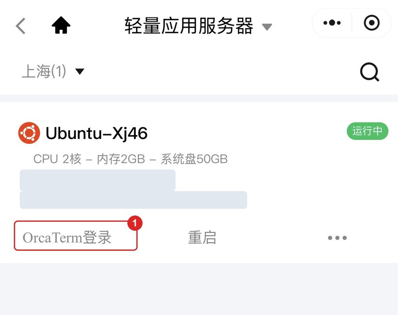 服务器详情页，红框标出「OrcaTerm登录」按钮